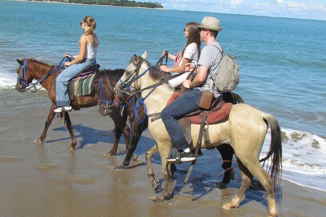 Puerto Plata City Horseback Riding Tour ,Rios,Beaches and Countryside - Pickup, Transport, and the Little Details That Make Days Easier