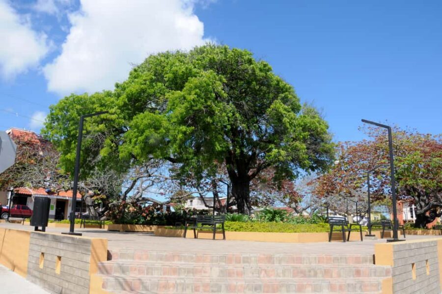 Puerto Plata City Tour and Cable Car Ride - Mount Isabel de Torres by Cable Car: The View at 855 Meters