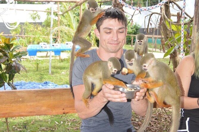 Puerto Plata City Tour with Monkeys - Key things to know before you go