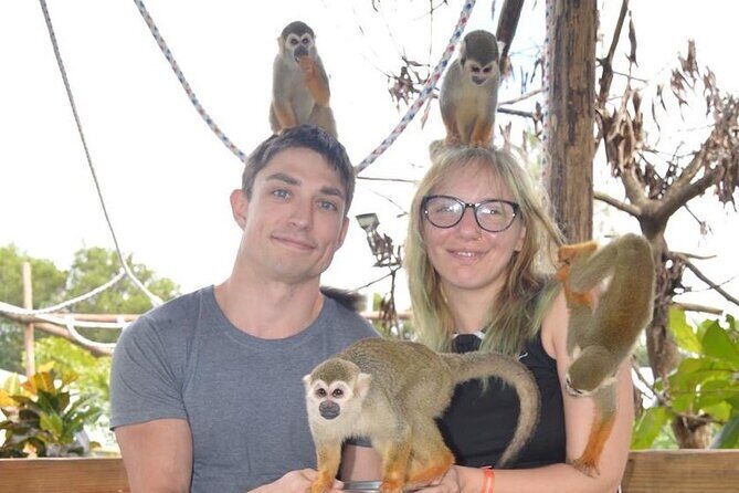 Puerto Plata City Tour with Monkeys - Why this Puerto Plata tour works so well (even if you’re short on time)
