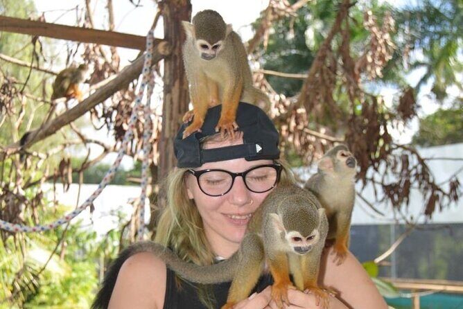 Puerto Plata City Tour with Monkeys - Parasol Street + the Pink Street (Doña walk): the photo walk portion