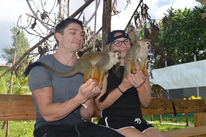 Puerto Plata City Tour with Monkeys - Imbert + Cevallos: monkey home and fruit plantations in one jump