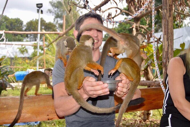 Puerto Plata City Tour with Monkeys - What the guide and driver experience can feel like