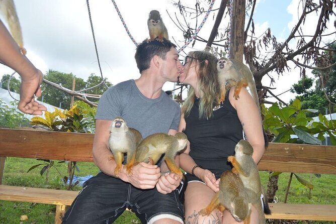 Puerto Plata City Tour with Monkeys - The Macorís rum factory stop: what you’re actually getting