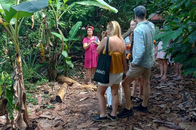 Puerto Plata Cultural City Tour – Half Day Experience - Fort San Felipe: history you can read right off the walls