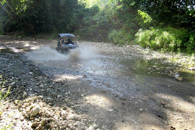Puerto Plata: Damajagua waterfalls + Safari buggy + Horseback riding (TOP3IN1) - Who should book this 3-in-1 in Puerto Plata