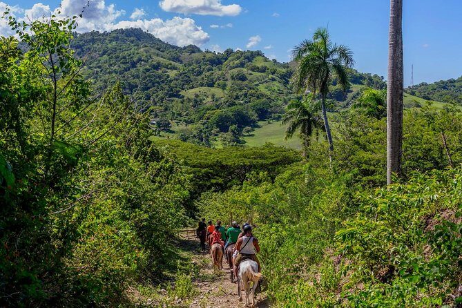 Puerto Plata: Damajagua waterfalls + Safari buggy + Horseback riding (TOP3IN1) - The rainforest walk: what it feels like and how to prepare