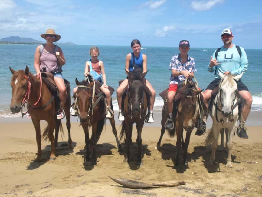 Puerto Plata: Horseback Riding Tour - Who This Tour Suits Best in Puerto Plata
