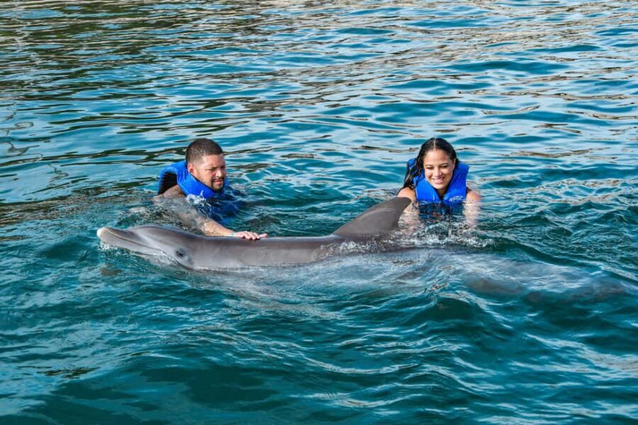 Puerto Plata: Ocean World Adventure Park Swim with Dolphins - Key moments to look for at Ocean World Puerto Plata