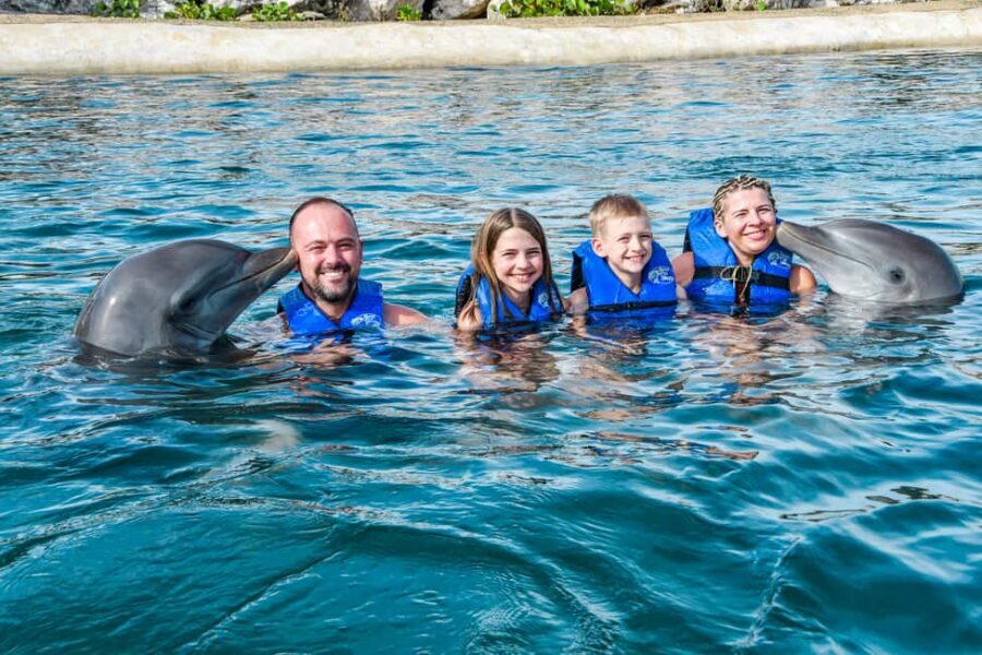 Puerto Plata: Ocean World Adventure Park Swim with Dolphins - Ocean World’s VIP setup: what makes this feel special (and what doesn’t)