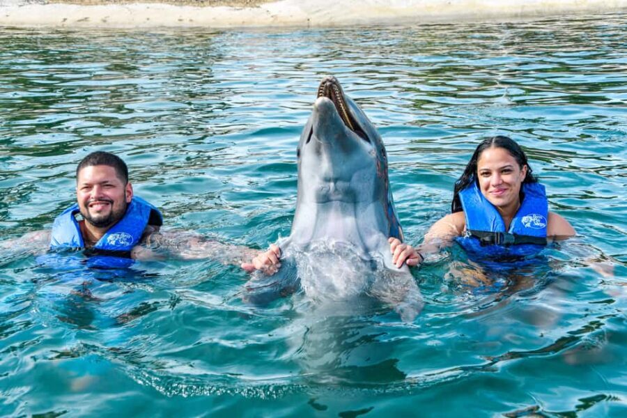 Puerto Plata: Ocean World Adventure Park Swim with Dolphins - Dolphin lecture, then lagoon ride: how the VIP dolphin interaction works