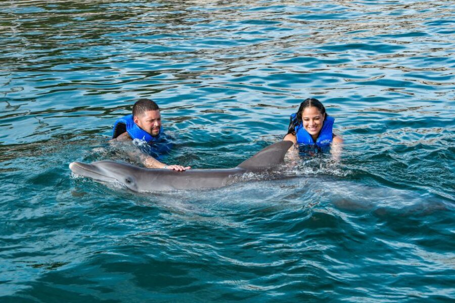 Puerto Plata: Ocean World Adventure Park Swim with Dolphins - The rainforest, iguanas, and how the land exhibits fit the whole visit