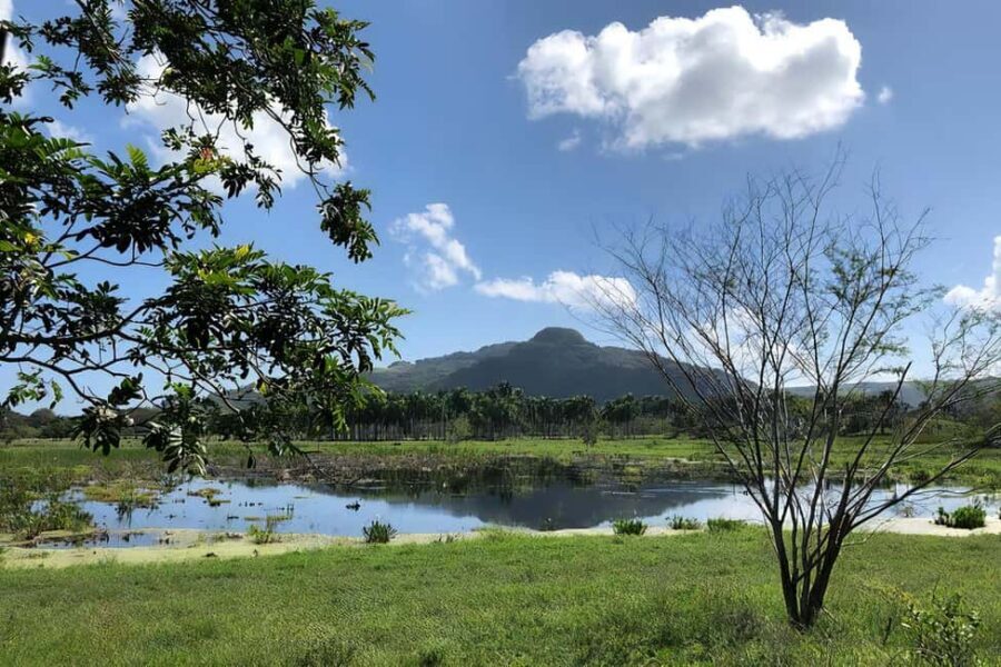Puerto Plata Off-Road ATV Adventure - Mid-Ride Stops and Dominican Tastes