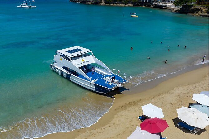 Puerto Plata Private Catamaran Snorkeling, BBQ & Open Bar - Transfers, Timing, and Back-to-Ship Guarantee: The Stress Saver