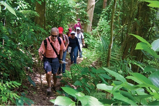 Puerto Plata Rejoya River Excursion Amber Cove Taino Bay Hotels - From Amber Cove area to La Rejoya: how the day runs
