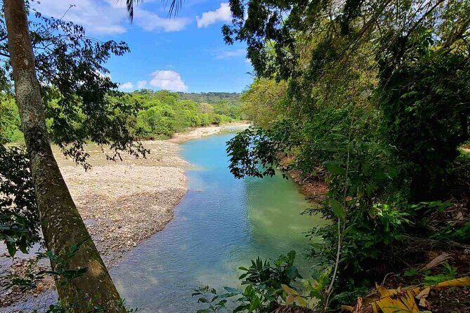 Puerto Plata Rejoya River Excursion Amber Cove Taino Bay Hotels - La Rejoya River source: the quiet, green payoff