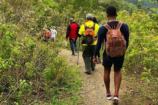 Puerto Plata Rejoya River Excursion Amber Cove Taino Bay Hotels - What $95 per person gets you (and why it can feel worth it)