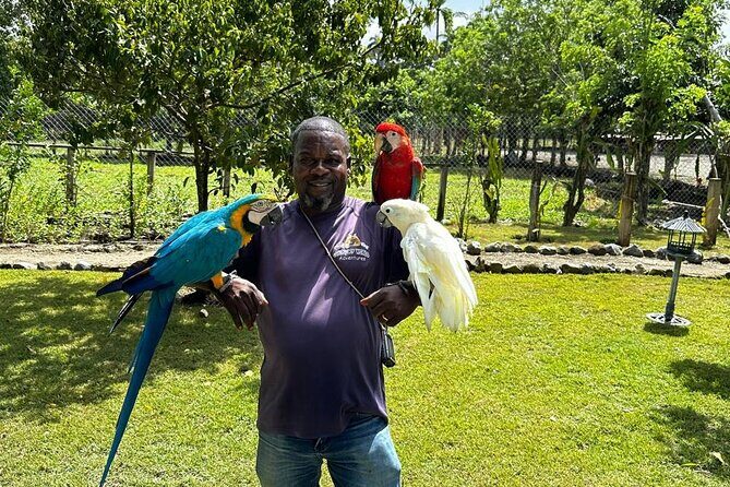 Puerto Plata Sightseeing and Countryside | Amber Cove & Taino Bay - Puerto Plata center: cathedral, Parque Central, and street-color you can’t fake