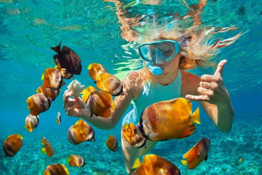 Puerto Plata: Sosúa Catamaran Day Trip with Lunch and Drinks - Key Highlights You’ll Feel on This Sosúa Catamaran