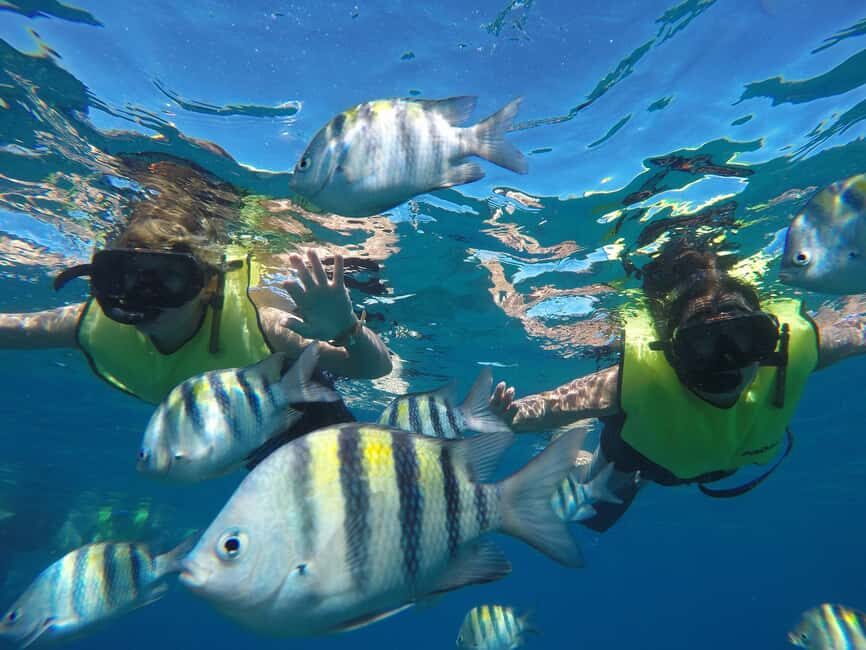 Puerto Plata: Sosúa Catamaran Day Trip with Lunch and Drinks - Price and Value: Is $79 Worth It for 5 Hours?