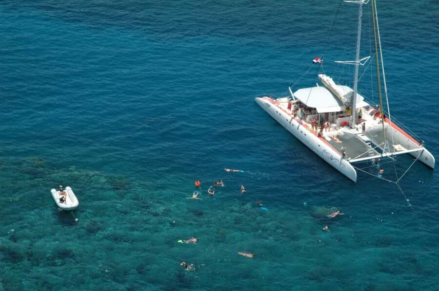 Puerto Plata: Sosúa Catamaran Day Trip with Lunch and Drinks - Cruising the North Coast: Views Without the Hurry