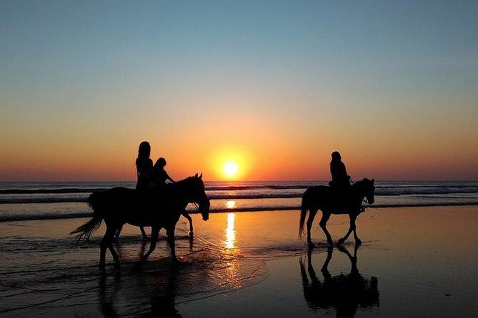 Puerto Plata: Sunset Beach Horseback Riding - Key things to know before you ride
