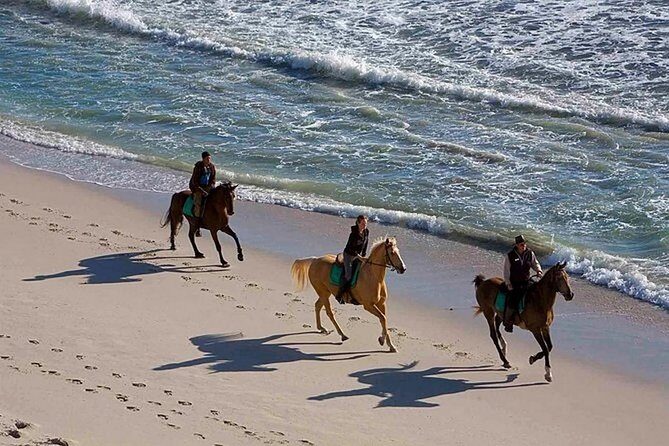 Puerto Plata: Sunset Beach Horseback Riding - Getting there: 5:30 pm start, pickup zones, and what to expect on the road