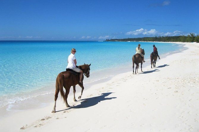 Puerto Plata: Sunset Beach Horseback Riding - Price and logistics: is US$69 a good value?