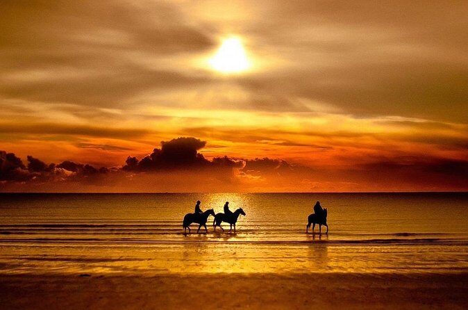 Puerto Plata: Sunset Beach Horseback Riding - Who should book this and who should skip it