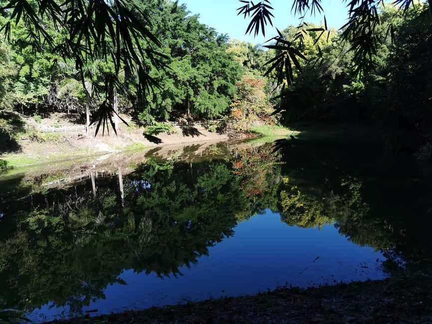 Puerto Plata: Taino Valley and Dominican Flavor Experience - Who this tour fits best (and who should skip it)