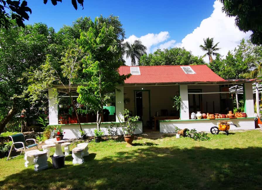 Puerto Plata: Taino Valley and Dominican Flavor Experience - Fruit tasting under a traditional-leaf roof