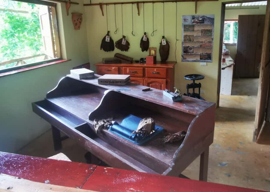 Puerto Plata: Taino Valley and Dominican Flavor Experience - Coffee demo: from tree to your cup