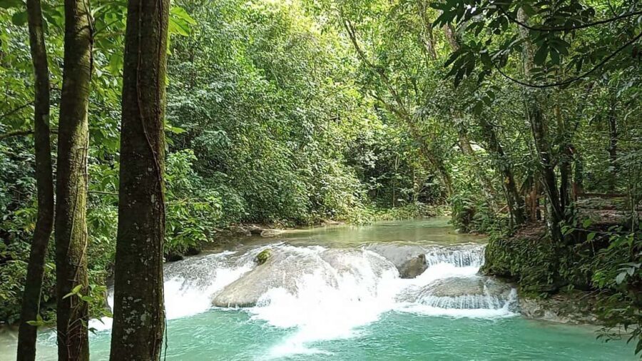 Puerto Plata: Taino Valley and Dominican Flavor Experience - Casa Antigua woodfire lunch: the Dominican food you came for