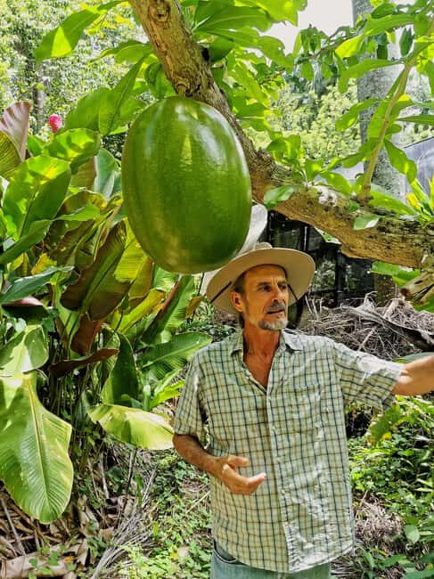 Puerto Plata: Taino Valley and Dominican Flavor Experience - Taino Valley Tropical Park: plants, Taino statues, and forest water