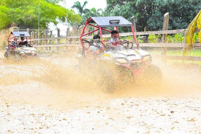 Punta Cana Family Buggy; cave pool, beach, coffee tasting - Cenote Cave Pool Stop: Swim in a Water Cave