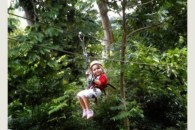 Punta cana: Half-Day Zipline Tour - The zipline circuit: 12 lines, 18 platforms, and what you’ll actually see