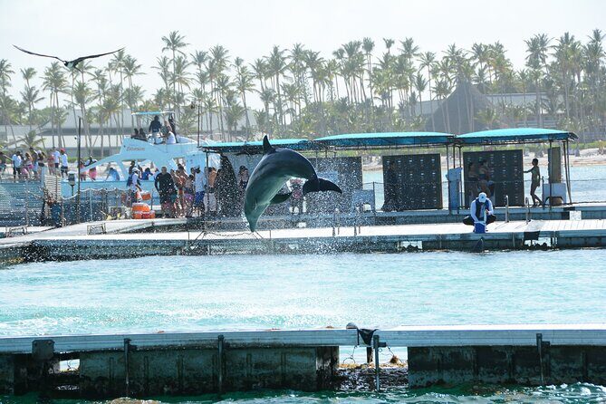 Punta Cana Hip Hop Party Boat with Snorkeling & Unlimited Drinks - Who Should Book This Party Boat (and Who Might Not)