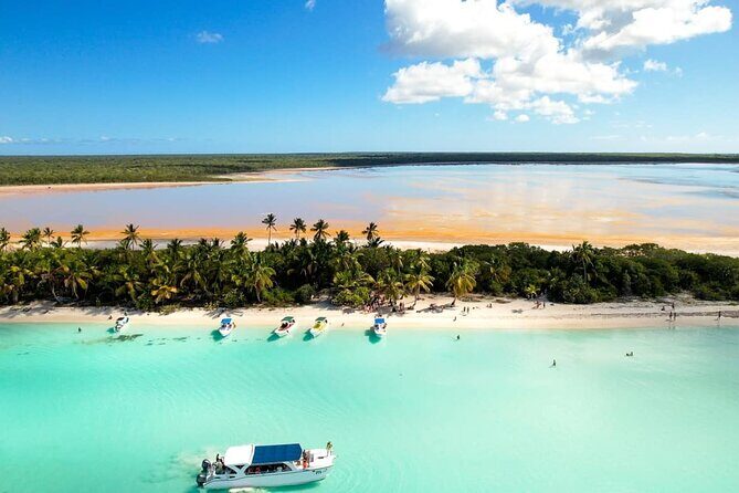 Punta Cana: Saona Island Catamaran Open Bar / Food Hotel Pickup - Boarding in the Morning: Catamaran or Speedboat