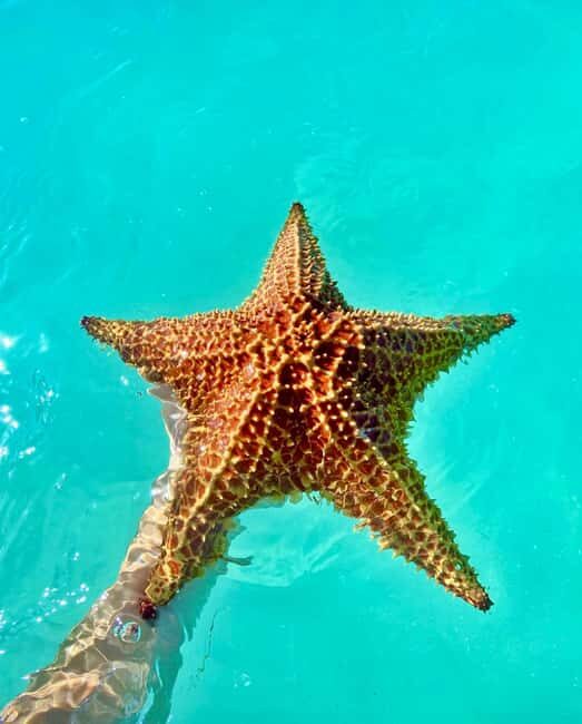 Punta Cana: Saona Island VIP | Private Beach, Open Bar & Lunch - Getting From Punta Cana: The Part That Can Make or Break Your Day