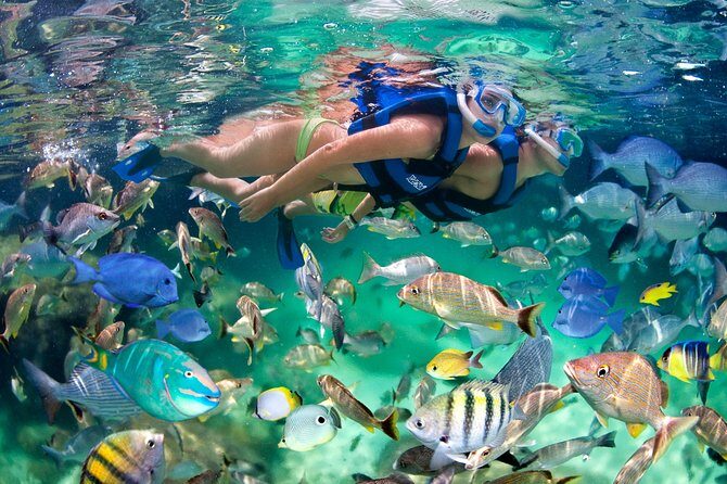 Punta Cana Snorkeling Party Cruise - Practical tips to make your day smoother