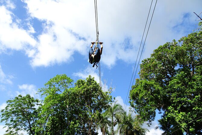 Ride N Zip Adventure - Who Ride N Zip Fits Best (And Who Should Rethink It)