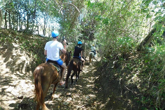 Ride N Zip Adventure - Should You Book Ride N Zip Adventure?