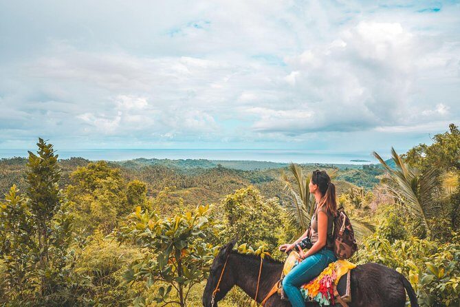 Samana: Cayo levantado ( Bacardi Island) & El Limon Waterfalls from Punta Cana - Key Highlights Worth Your Time