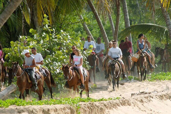 Samana + Cayo Levantado + Horseback Riding from Punta Cana with Lunch - Cayo Levantado (Bacardi Island): swim and unwind after the main sights