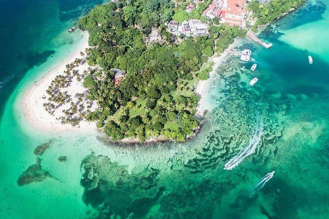 Samana Whale Watching + Cayo Levantado ( Bacardi Island) with Lunch by Locals - Key Highlights You’ll Feel Right Away