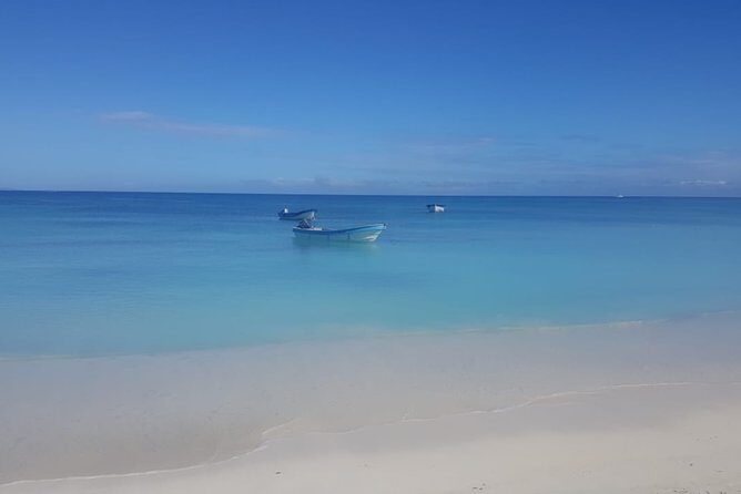 Sand fell Paradise Island Excursions - Key Things to Know Before You Go