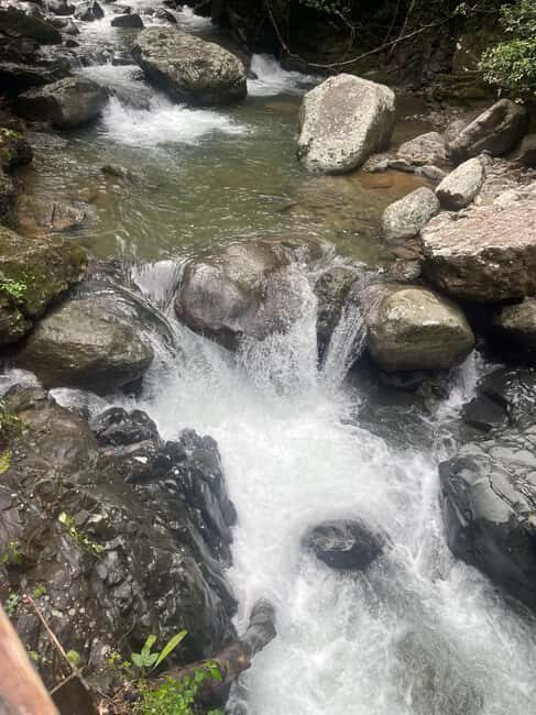 Santo Domingo: Paradisiac Waterfall & Lunch Cooked Over Wood - Saltos de Jima Waterfall Time: Swim, Widen Your Smile, Then Respect the Cold