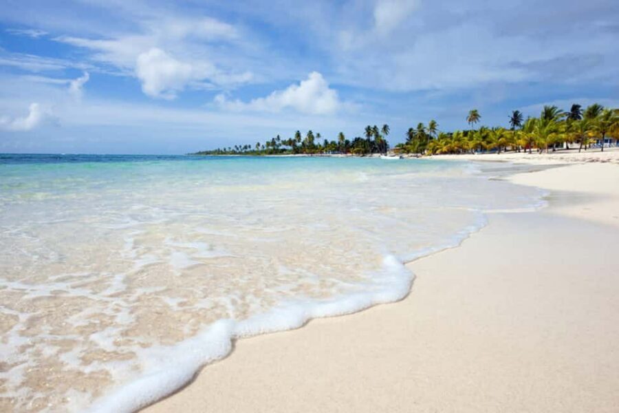 Santo Domingo: Saona Island Day Trip with Lunch and Drinks - Key points worth your attention