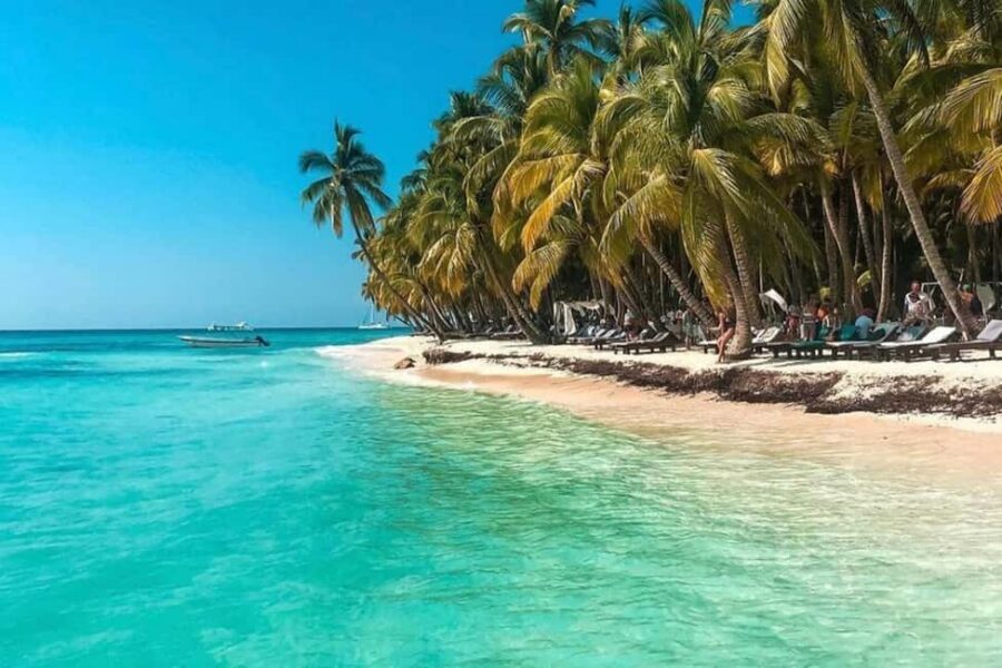 Santo Domingo: Saona Island Day Trip with Lunch and Drinks - Saona Island in one day: what the experience is really like
