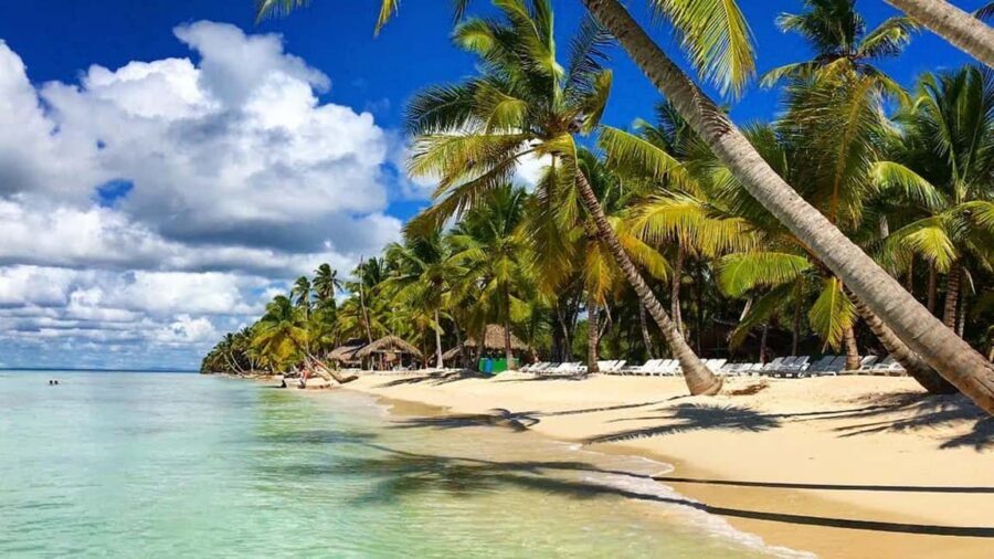Santo Domingo: Saona Island Day Trip with Lunch and Drinks - Practical prep: what to bring for a full day in the sun